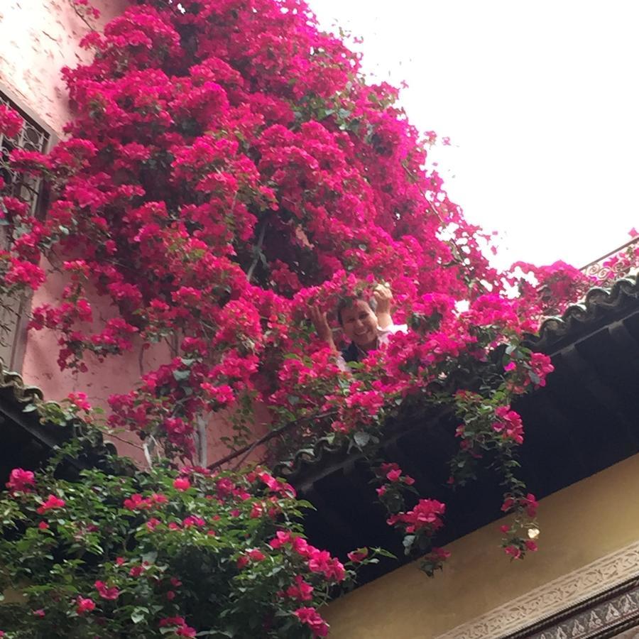 Riad El Ma Meknès Exteriör bild